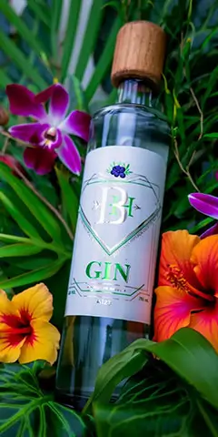 BraveHart Premium Dry Gin 750ml